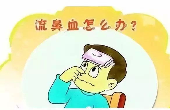 流鼻血时还只会仰头止血吗?最科学合理的止血方式来了