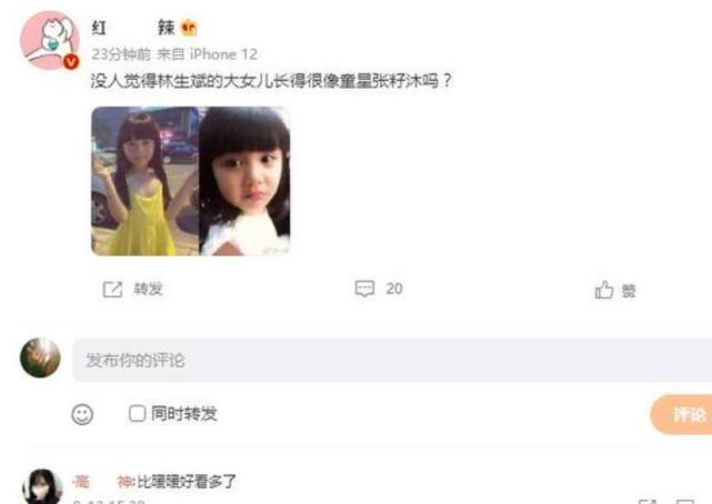 女儿林臻娅酷似童星张籽沐,网友