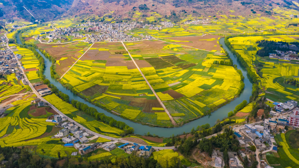 曲靖市麒麟区人口_曲靖各区县人口一览 麒麟区99.63万,师宗县37.69万