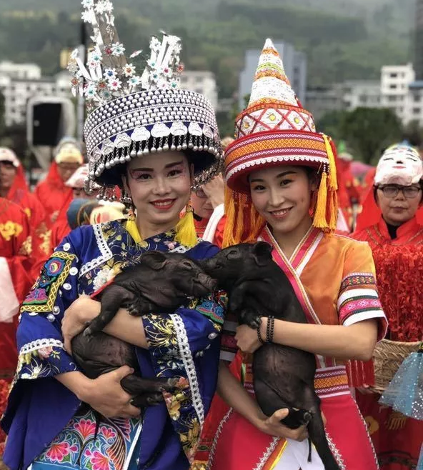 壮族有多少人口_汉族蒙古族回族壮族同族六个民族各有多少人口(3)