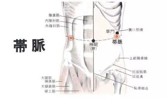 肚子上肉多,原来是腰上这条经脉堵塞了!