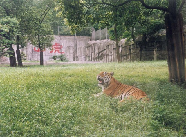 重庆动物园美景