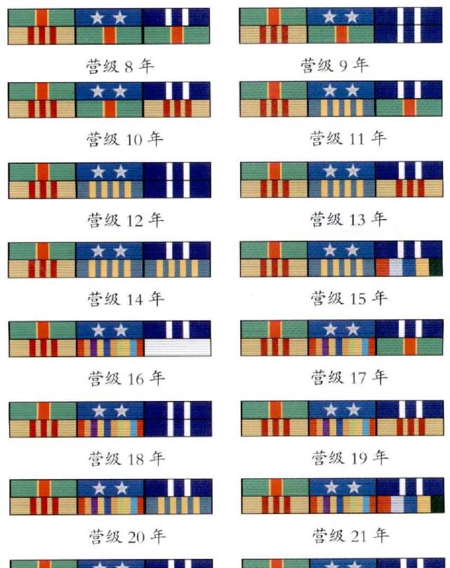 这堆"马赛克"其实叫做资历章,它和军衔有一定联系,但又不能完全划等号