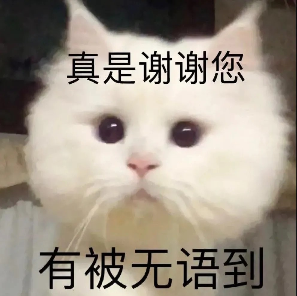 搞笑表情包,我真的是谢谢您嘞,有被无语到.