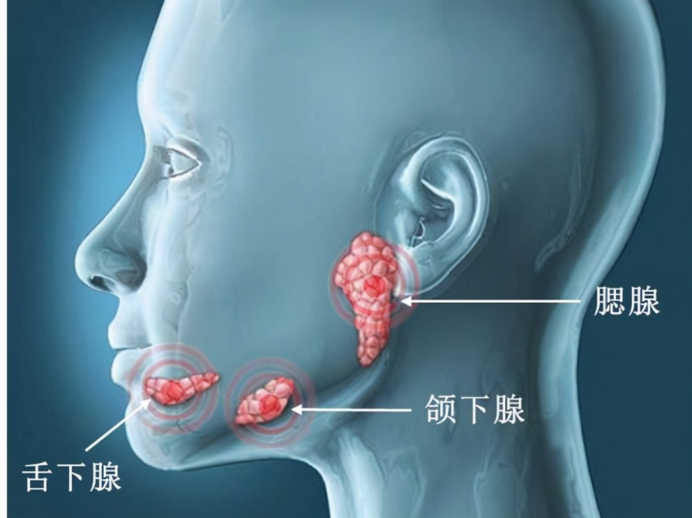 人类在见证自己进化,科学家发现手臂长出新血管,颈部有新器官