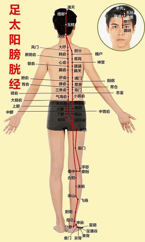 这三条经络都在手臂外侧,经络的走向是从手指的位置,向头的方向走!