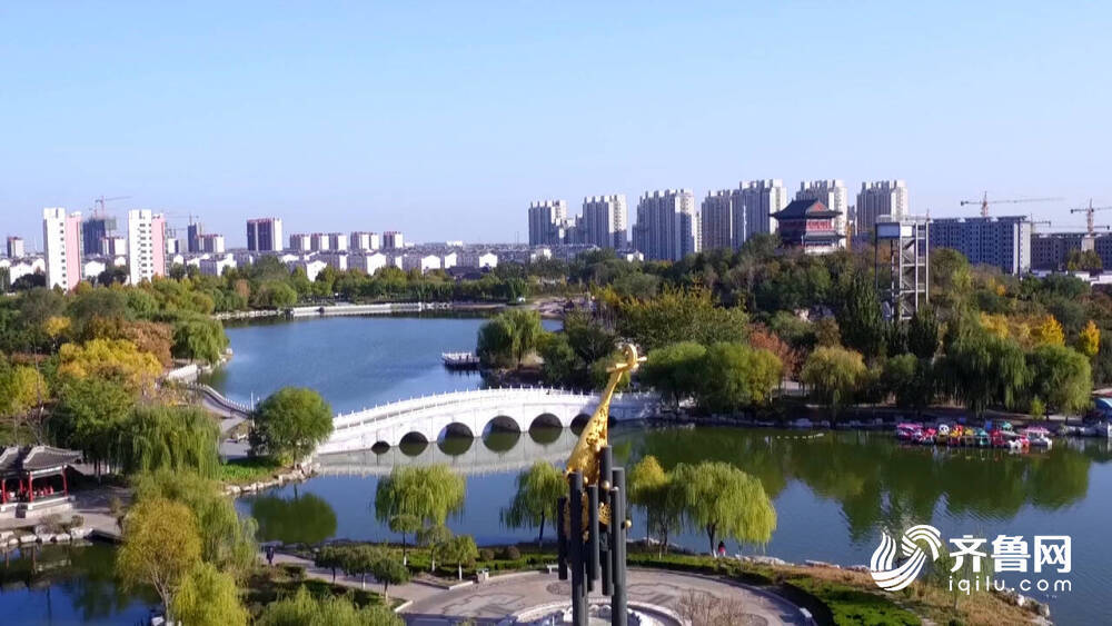 【诗画德州】平原:秋风起处秋意浓 踏秋赏景正当时