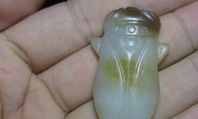 女子无意买下宝物