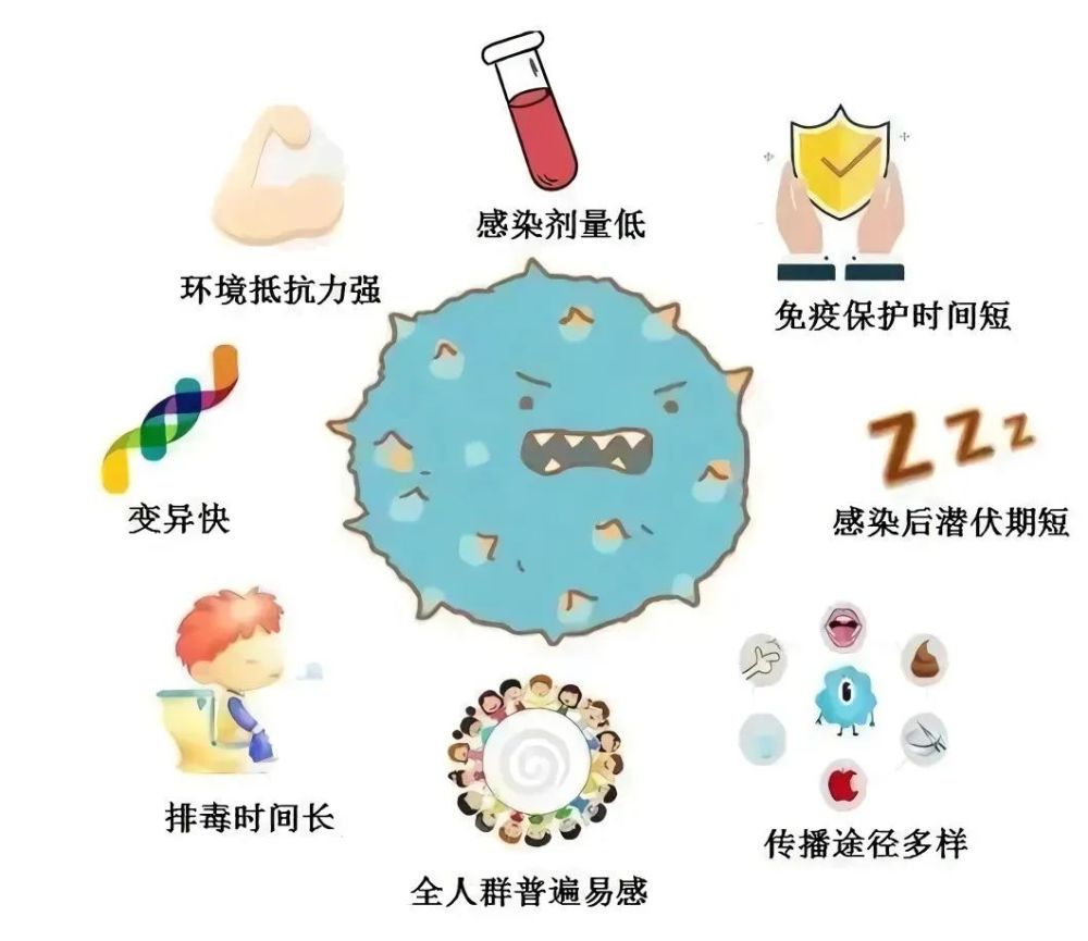 诺如病毒易传播,到底该怎么预防?