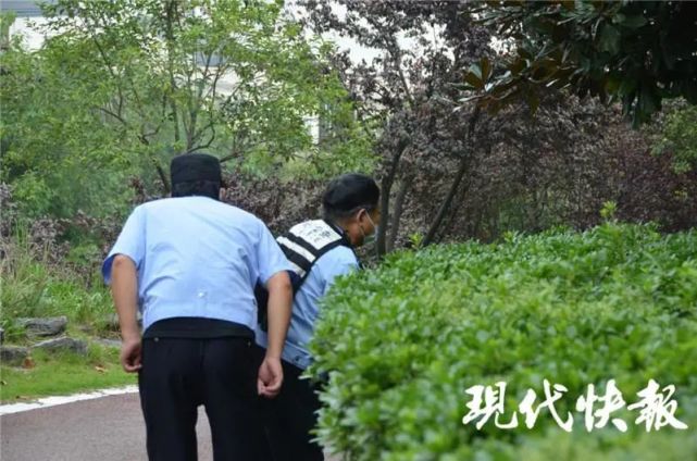 求婚被拒,淮安男子长跪一夜后向女友"直播"自杀!