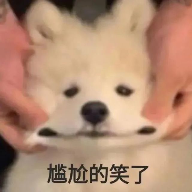 既往不咎这个词太虚伪了,我不大度,我喜欢风水轮流转,往死里转.16.