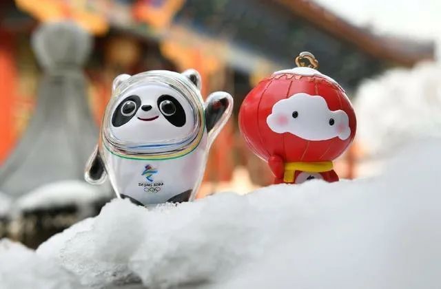 该吉祥物以熊猫为原型进行设计创作,将熊猫形象与富有超能量的冰晶