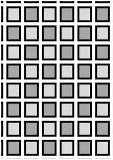 史上最难眼力测试,这张图里的12个黑点,你永远也找不全