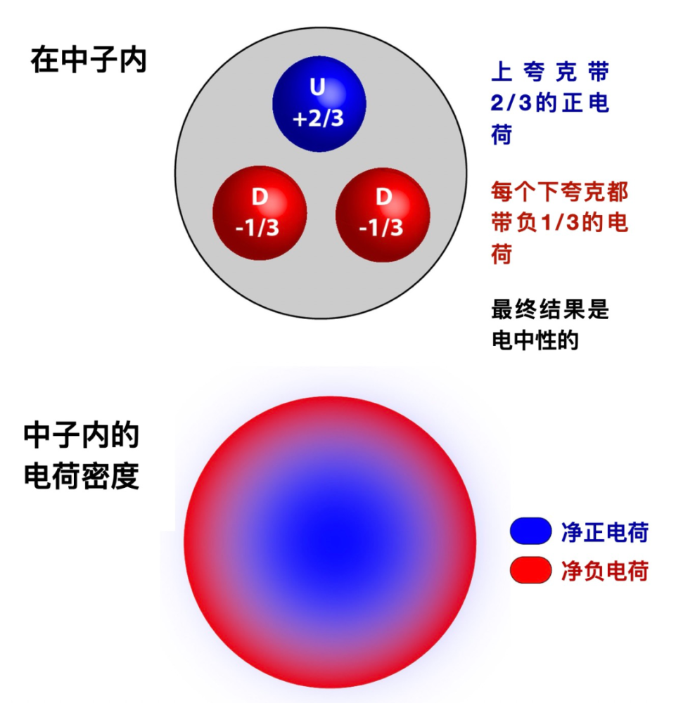 下夸克和上夸克具有不同的电特性,下夸克携带-1/3个单位电荷,上夸克