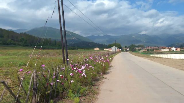 马晓红调研兴盛乡乡村振兴重点示范村建设情况