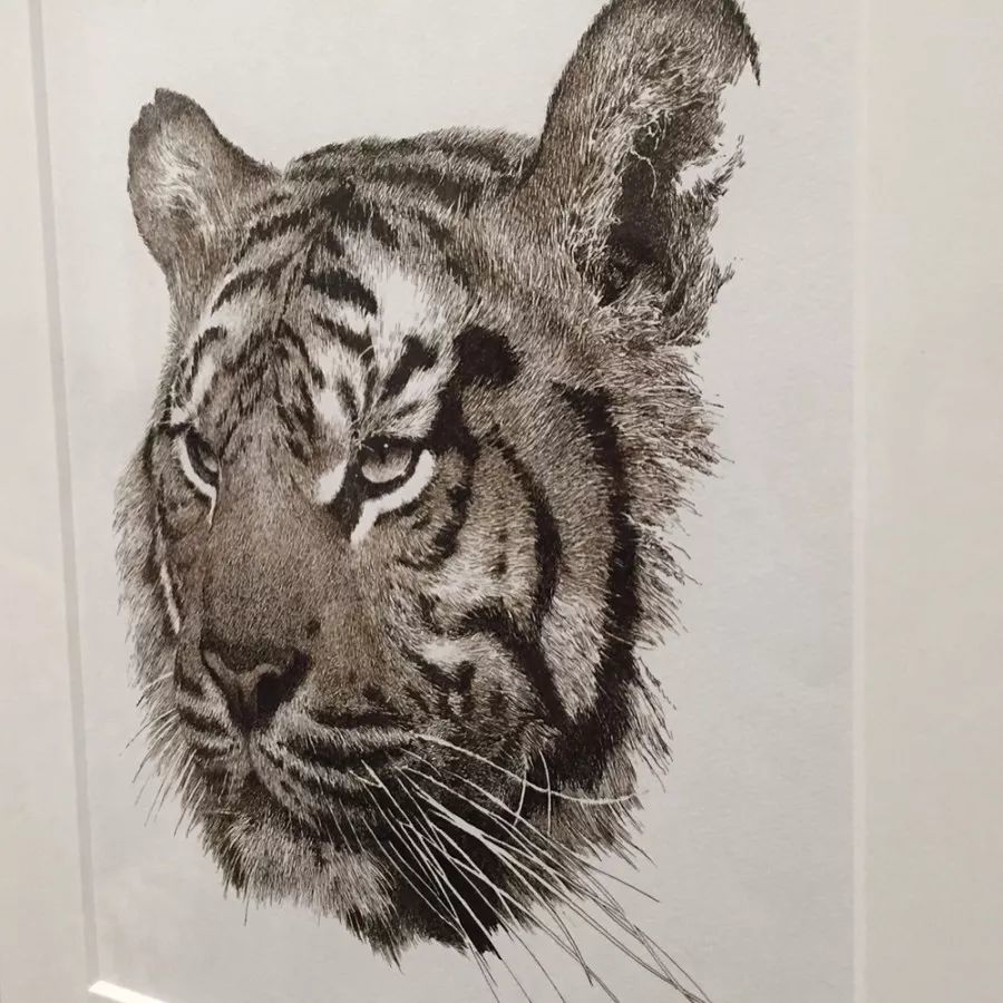 史上最牛的钢笔画,耗时6年完成,画完自己哭了