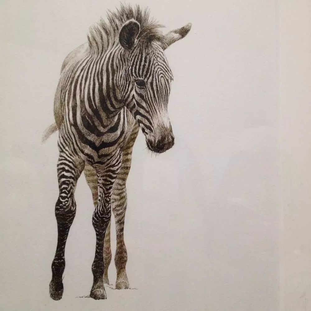 史上最牛的钢笔画,耗时6年完成,画完自己哭了