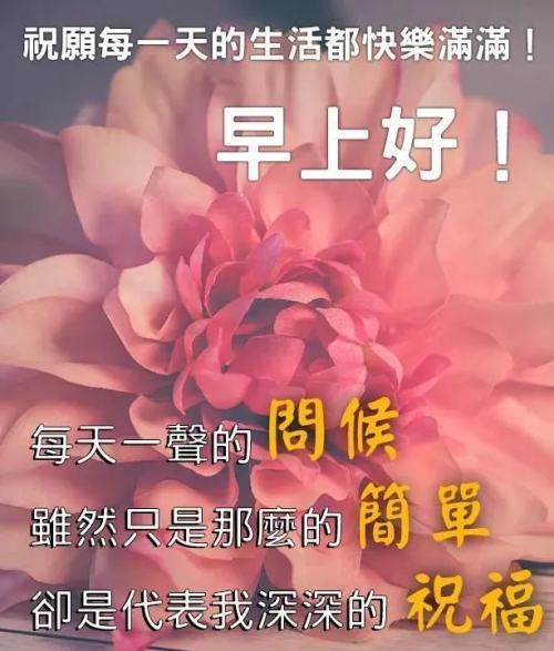 微信问候朋友早上好温馨祝福语句,最新早上好动态唯美