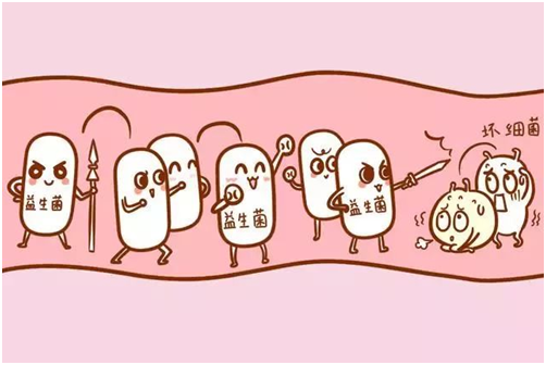 你真的了解益生菌吗关于益生菌的6个认知误区大澄清