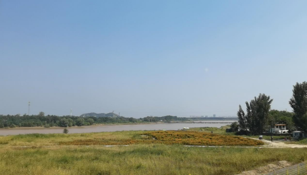 济南百里黄河风景区