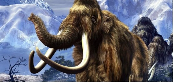 真猛玛象(真猛犸象是食草类动物,它们至少存活了50万年)