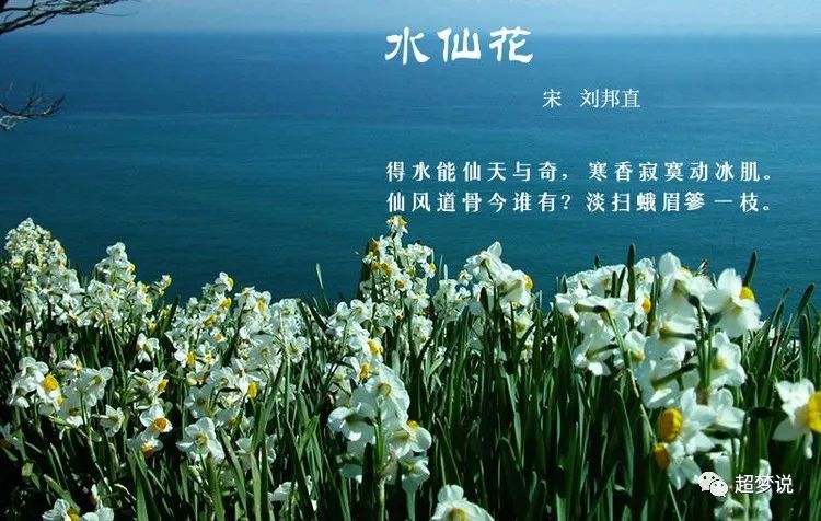 【诗配画】中国古诗词·百花篇《水仙花》