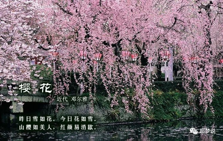 【诗配画】中国古诗词·百花篇《樱花》