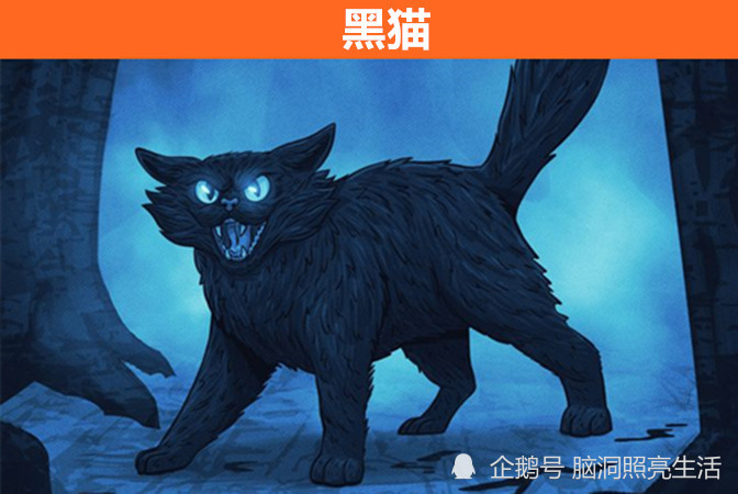 蛛丝猫迹与梦境交织，探索近期遇见蜘蛛与梦境的深层寓意