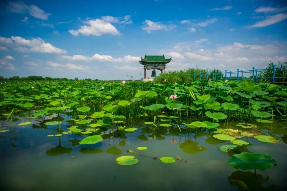 济南|免费的美景谁不爱?湿地公园免门票,看到就是赚到