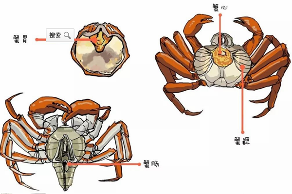 金秋吃蟹好时节,但螃蟹有4个部位不能吃,你都清楚吗?