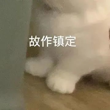 乱七八糟表情包