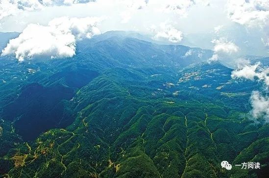 沧怒有痕美哉施甸大亮山张洪波保山