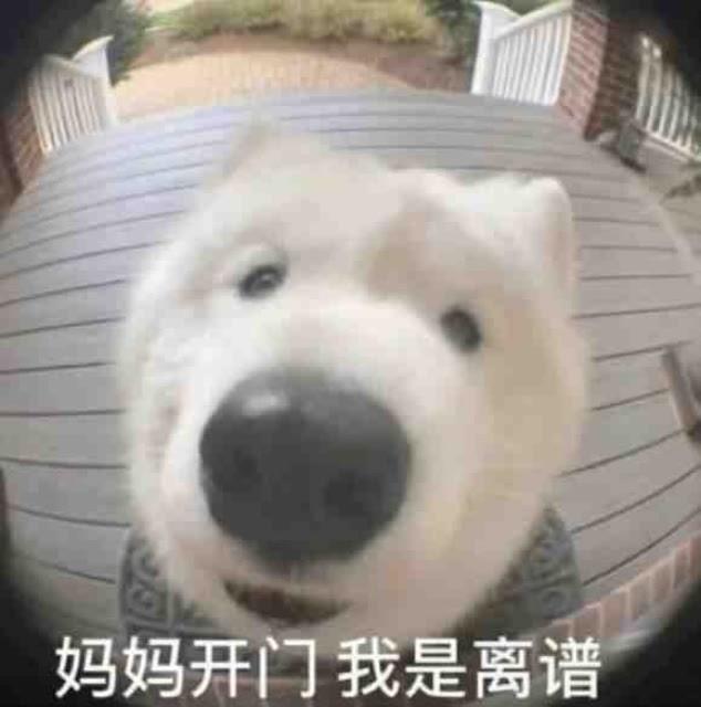 实用沙雕表情包 有趣的灵魂万里挑一