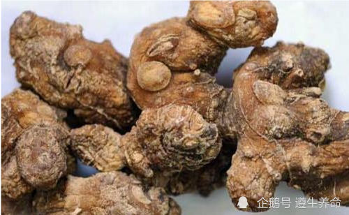 黄精的功效与作用,黄精的禁忌人群有哪些