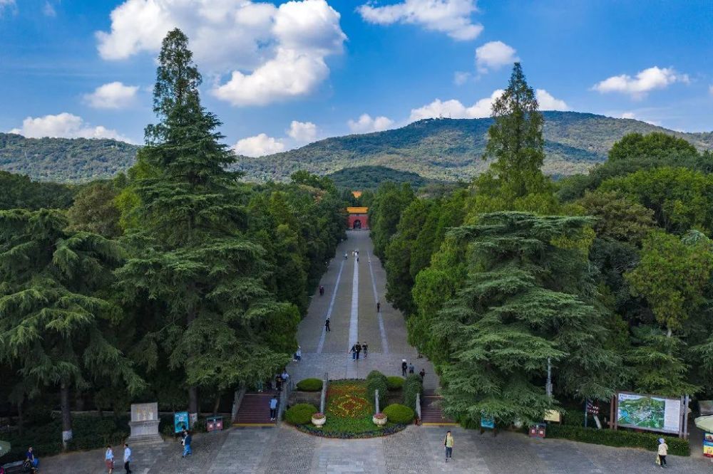 石象路,音悦台,美龄宫……来一次紫金山森林公园,能把南京半数的景点