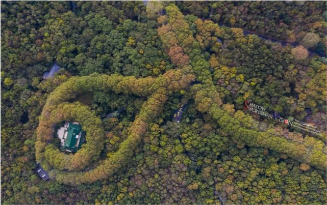 南京旅游:紫金山森林公园
