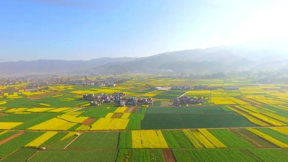 楚雄姚安:一年四季花开不断