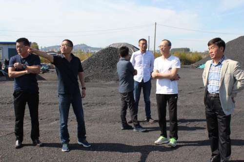 调兵山市人大对全市乱占耕地和矿产资源开发开展视察调研