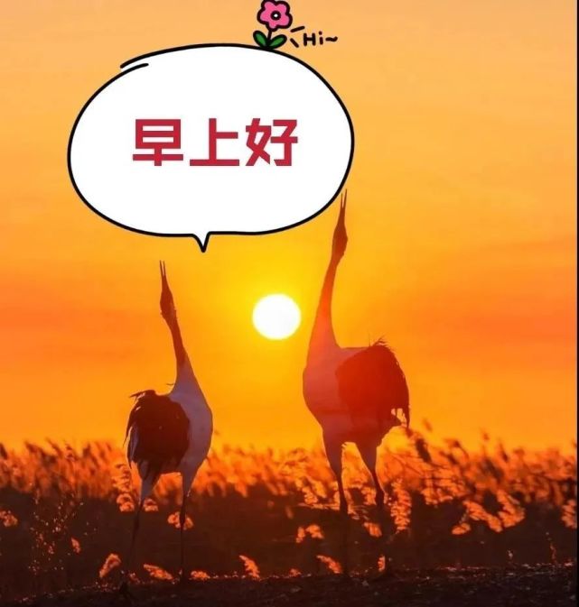 8张创意好看的中老年人早安图片带字带祝福语 免打字聊天的中老年人
