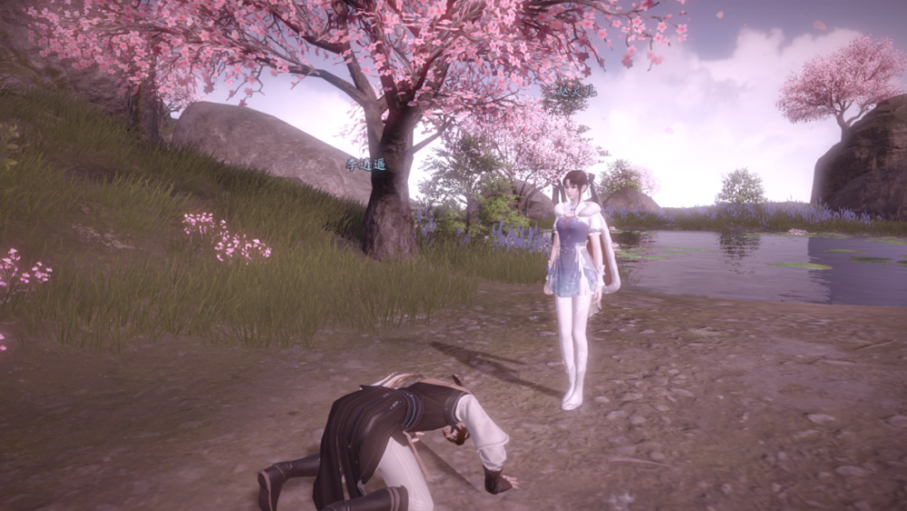 梦回往昔，一梦双亲逝，情感深处的记忆回响