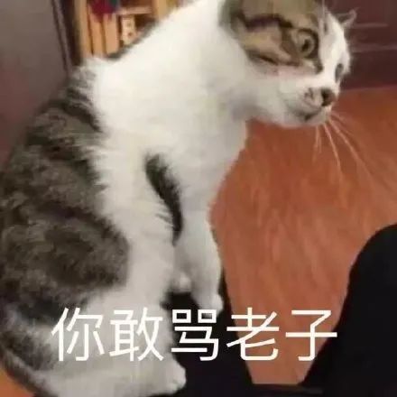 表情包我见钱眼开