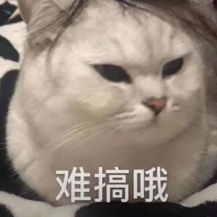 表情包我见钱眼开