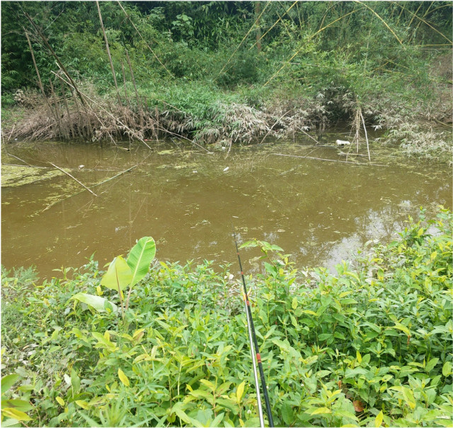 小江,大宁河,梅溪河,汤溪河,草堂河,綦江,御临河,塘河重庆段,都被划入