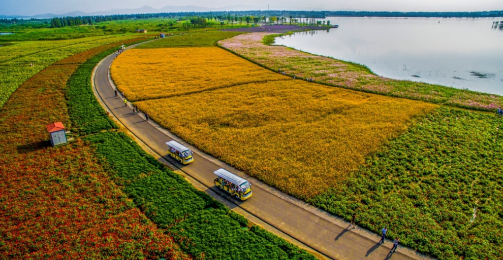 南京高淳固城湖退圩还湖还出绿色生机