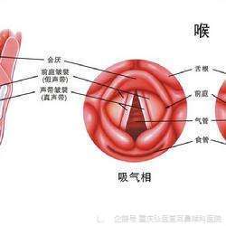 重庆弘医堂耳鼻喉医院分享咽喉炎会引起胸闷气短吗