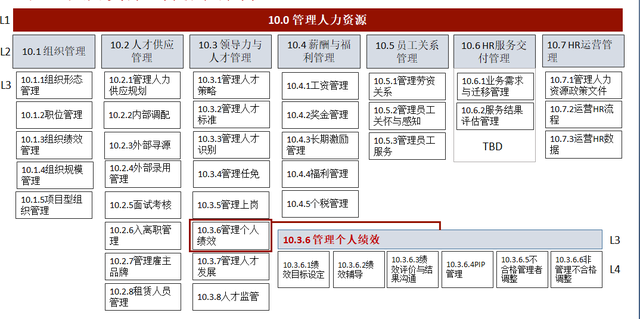 华为人力资源管理体系的解读与分析