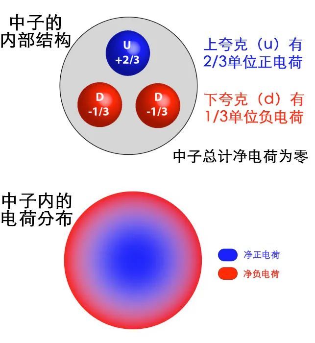 这些带有不同电荷的夸克 并不在中子结构中均匀分布.