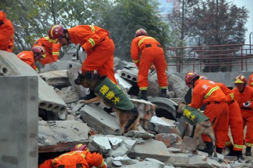 四川省泸州发生地震,你还不了解地震安全知识吗