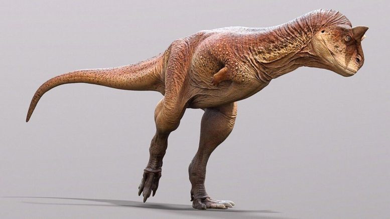 古生物学家重现了迄今发现的最奇怪的食肉恐龙之一