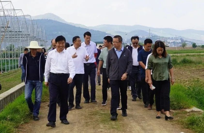 副州长李苏,县委书记王远,县委副书记戴兴成,县委常委赵洪路,副县长汤